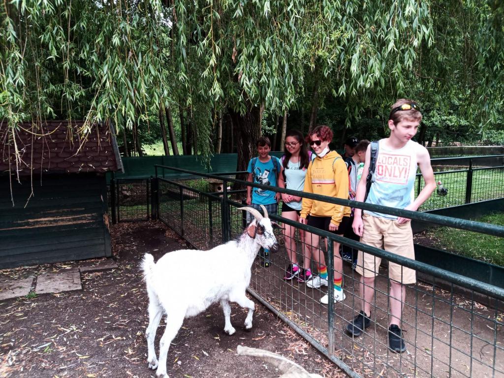 Školní výlet do zámku a zooparku v Častolovicích, 24. 6. 2021