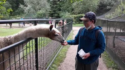 Školní výlet do zámku a zooparku v Častolovicích, 24. 6. 2021