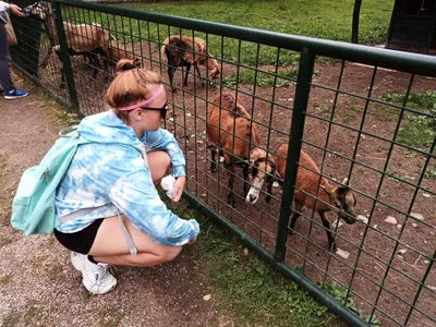 Školní výlet do zámku a zooparku v Častolovicích, 24. 6. 2021