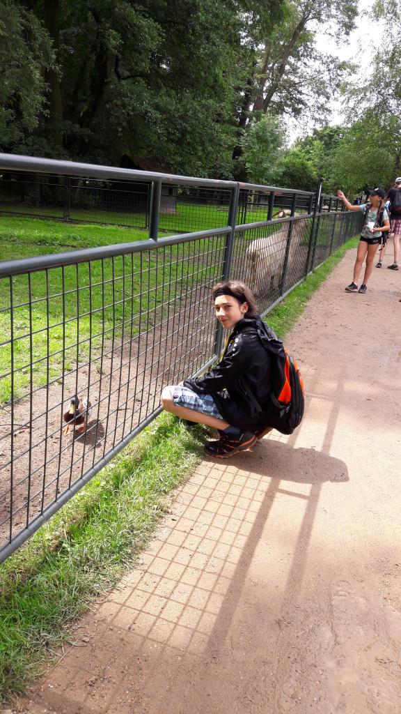 Školní výlet do zámku a zooparku v Častolovicích, 24. 6. 2021