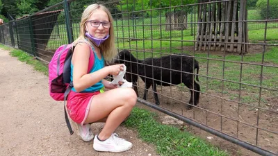 Školní výlet do zámku a zooparku v Častolovicích, 24. 6. 2021