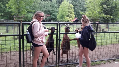 Školní výlet do zámku a zooparku v Častolovicích, 24. 6. 2021