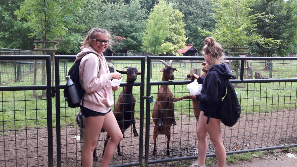 Školní výlet do zámku a zooparku v Častolovicích, 24. 6. 2021