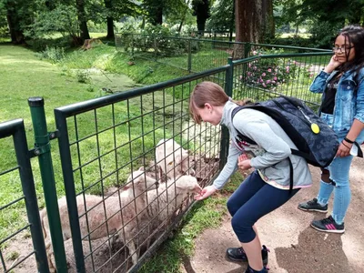 Školní výlet do zámku a zooparku v Častolovicích, 24. 6. 2021