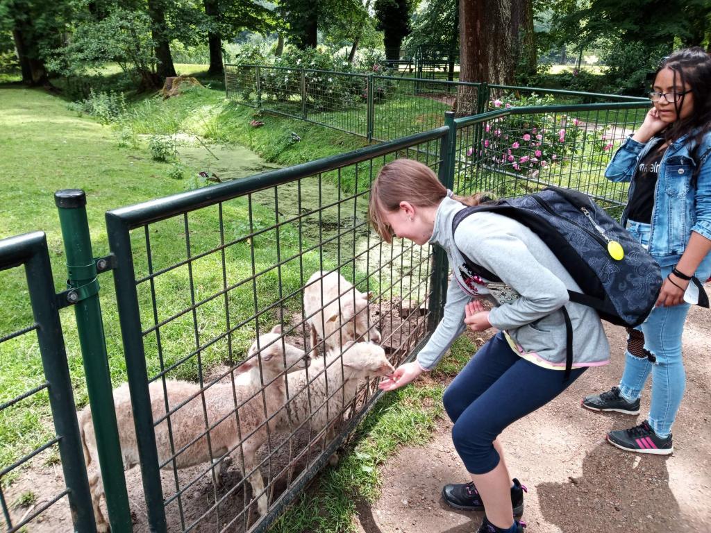 Školní výlet do zámku a zooparku v Častolovicích, 24. 6. 2021