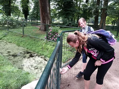 Školní výlet do zámku a zooparku v Častolovicích, 24. 6. 2021