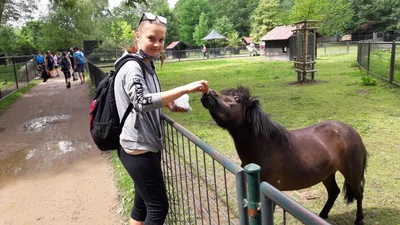 Školní výlet do zámku a zooparku v Častolovicích, 24. 6. 2021