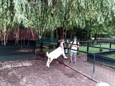 Školní výlet do zámku a zooparku v Častolovicích, 24. 6. 2021