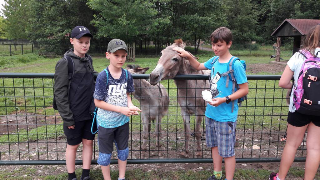 Školní výlet do zámku a zooparku v Častolovicích, 24. 6. 2021