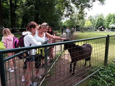 Školní výlet do zámku a zooparku v Častolovicích, 24. 6. 2021