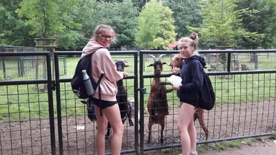 Školní výlet do zámku a zooparku v Častolovicích, 24. 6. 2021