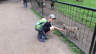 Školní výlet do zámku a zooparku v Častolovicích, 24. 6. 2021