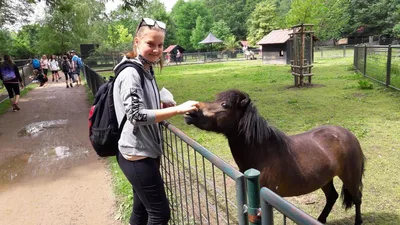 Školní výlet do zámku a zooparku v Častolovicích, 24. 6. 2021