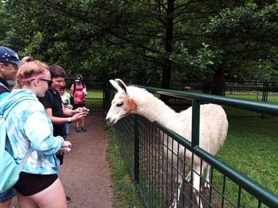 Školní výlet do zámku a zooparku v Častolovicích, 24. 6. 2021