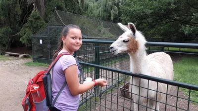 Školní výlet do zámku a zooparku v Častolovicích, 24. 6. 2021