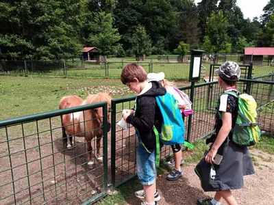 Školní výlet do zámku a zooparku v Častolovicích, 24. 6. 2021