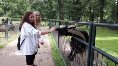 Školní výlet do zámku a zooparku v Častolovicích, 24. 6. 2021