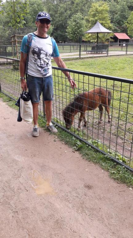 Školní výlet do zámku a zooparku v Častolovicích, 24. 6. 2021