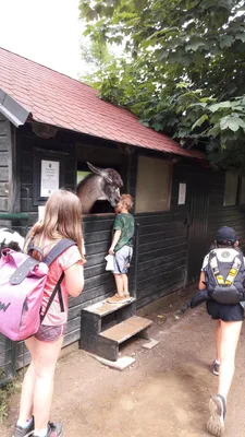 Školní výlet do zámku a zooparku v Častolovicích, 24. 6. 2021