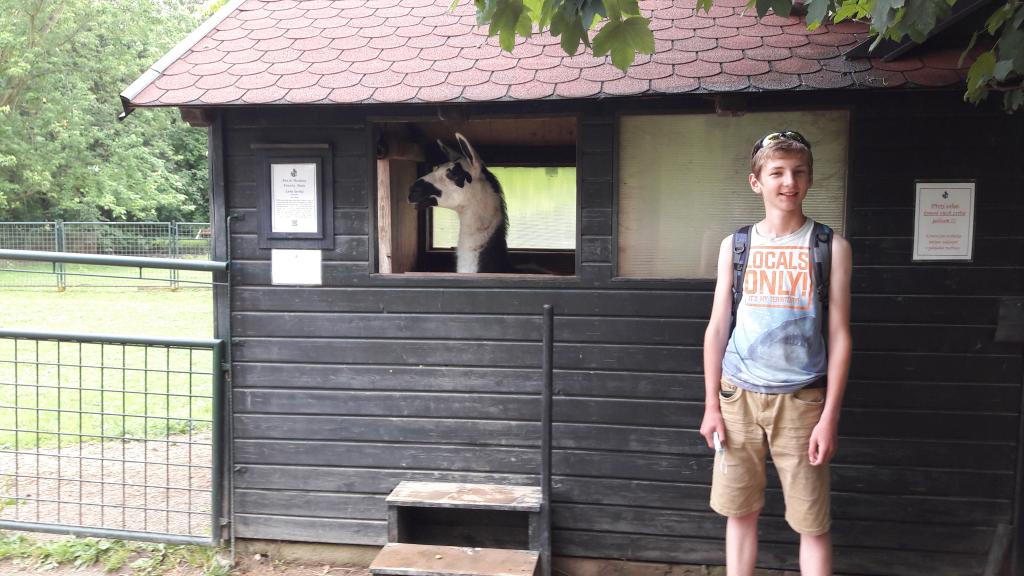 Školní výlet do zámku a zooparku v Častolovicích, 24. 6. 2021