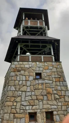 Školní výlet- Vojtěchovská rozhledna, 24. 6. 2021