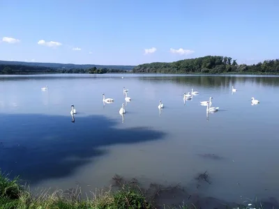 Městské muzeum Chrast, 3. 9. 2021