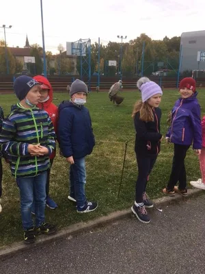 Dravci, 19. 10. 2021