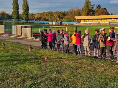 Dravci v akci, 19. 10. 2021
