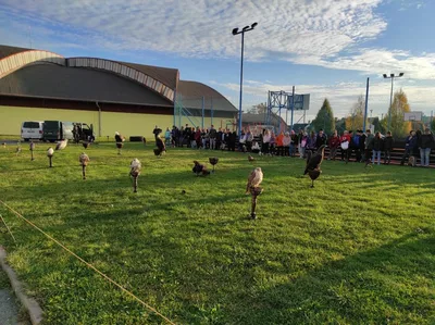 Dravci v akci, 19. 10. 2021