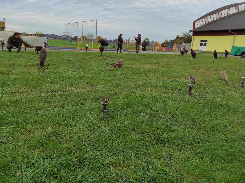 Dravci v akci, 19. 10. 2021