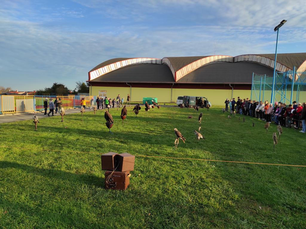Dravci v akci, 19. 10. 2021