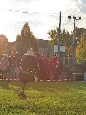 Dravci v akci, 19. 10. 2021