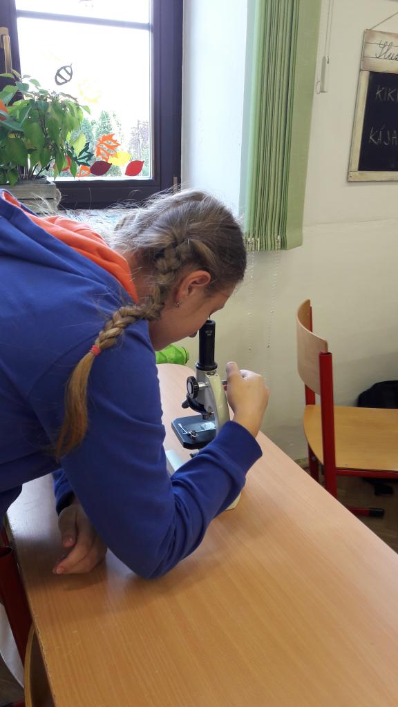 Přírodopis 7 - Laboratorní práce - Vnější stavba těla ryby, pozorování mikroskopických preparátů rybí šupiny., 15. 10. 2021