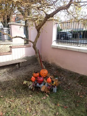 Tvoření ve výtvarné výchově a praktických činnostech, 29. 10. 2021