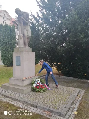 Den válečných veteránů, 11. 11. 2021