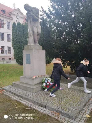 Den válečných veteránů, 11. 11. 2021