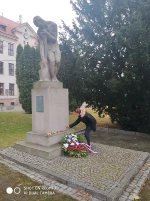 Den válečných veteránů, 11. 11. 2021