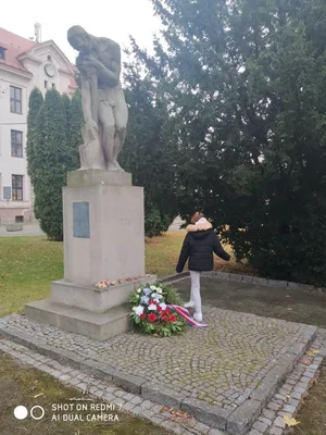 Den válečných veteránů, 11. 11. 2021