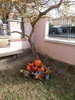 VV, PČ, 1. 11. 2021