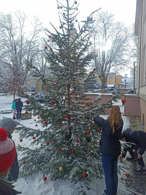 Zdobení vánočního stromku, 29. 11. 2021