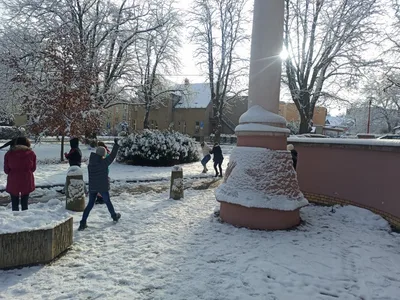 Zdobení vánočního stromku, 29. 11. 2021