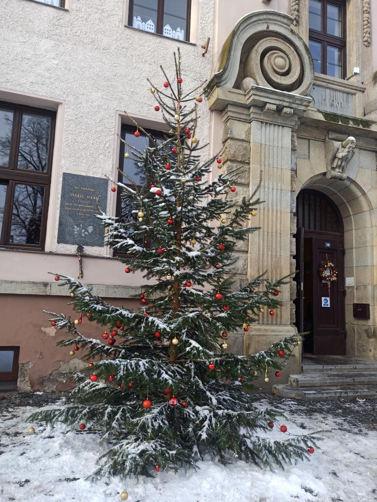 Zdobení vánočního stromku, 29. 11. 2021