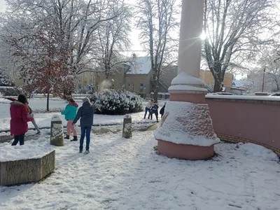 Zdobení vánočního stromku, 29. 11. 2021