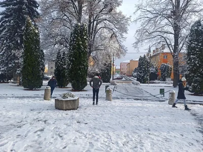 Zdobení vánočního stromku, 29. 11. 2021