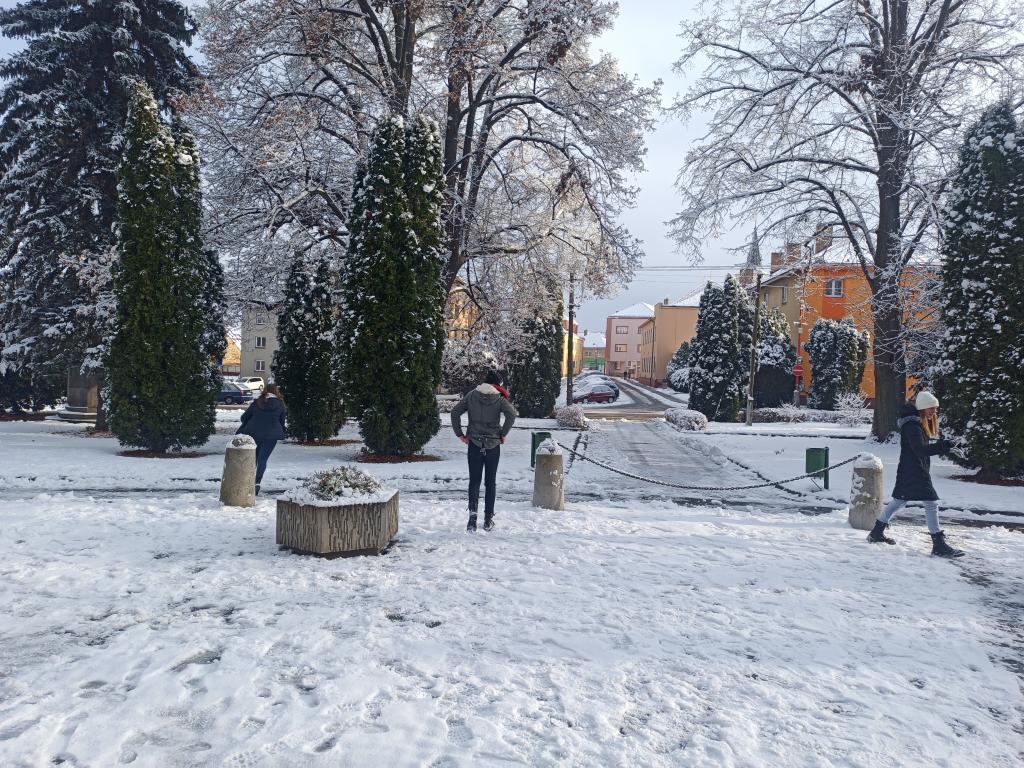 Zdobení vánočního stromku, 29. 11. 2021