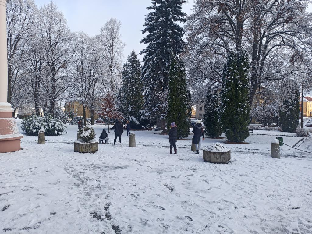 Zdobení vánočního stromku, 29. 11. 2021