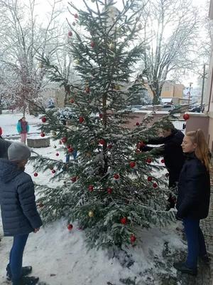 Zdobení vánočního stromku, 29. 11. 2021