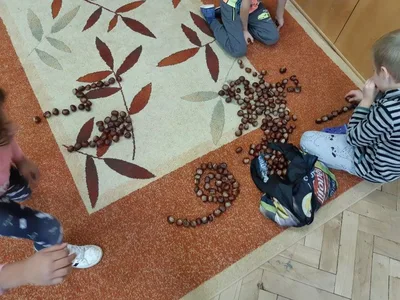 Rozvíjející přípravný program pro děti s odkladem školní docházky, 12. 1. 2022