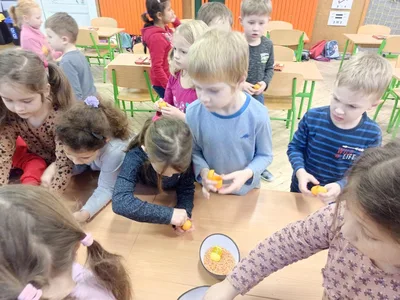 Škola nanečisto - leden 2022, 12. 1. 2022