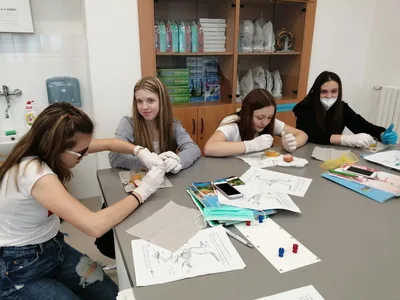Laboratorní práce - rozbor ptačího vejce - stavba a složení, 11. 2. 2022